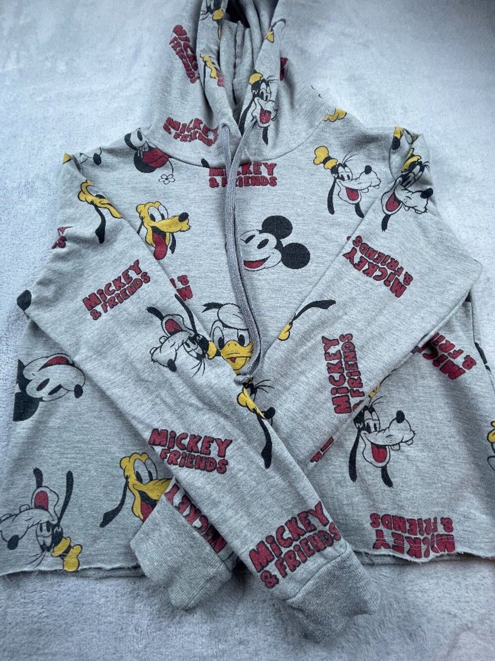 Mickey & Friends Gray Hoodie